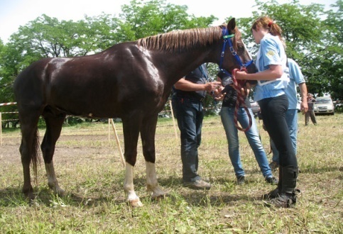 http://probegi.info/files/images/Nalchik_Jun2009_03.jpg