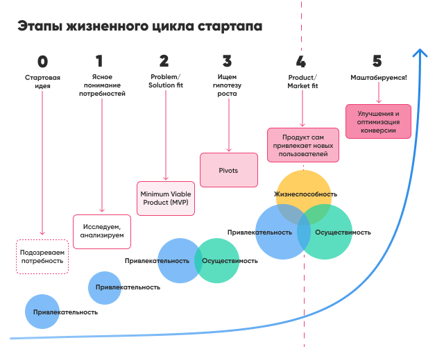 Этапы продукта. Жизненный цикл продукта MVP. Жизненный цикл разработки приложения. Стадии разработки MVP. Цикл разработки сайта.