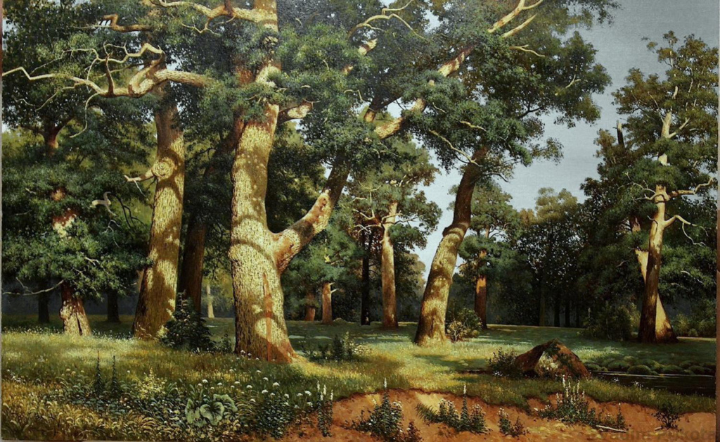 Дубовая роща Дубовая роща