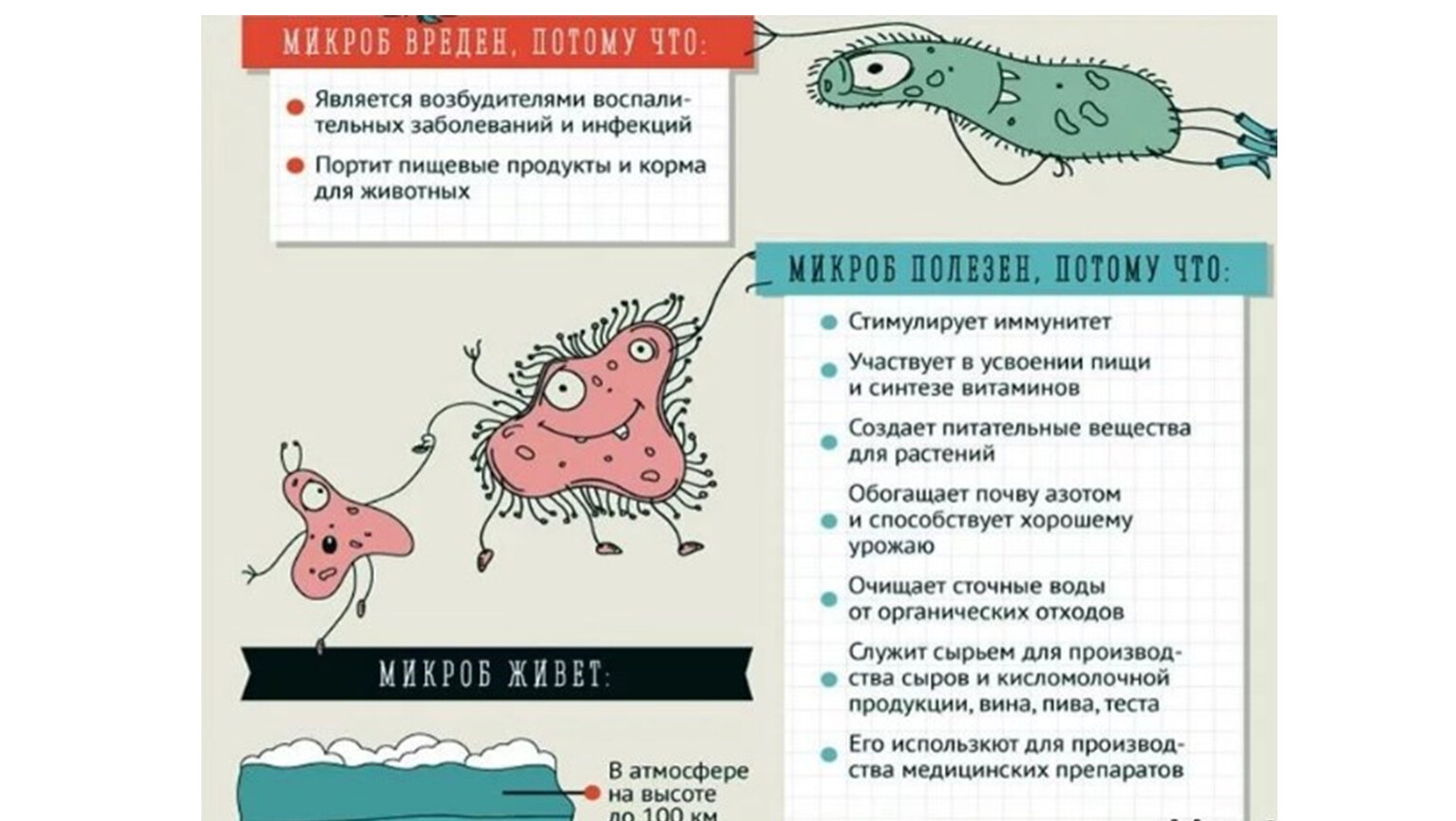 Интересные факты о вирусах 5 класс. Интересные факты о микробах. Интересные факты о бактериях. Интересные микробы. Интересное о микробах для детей.