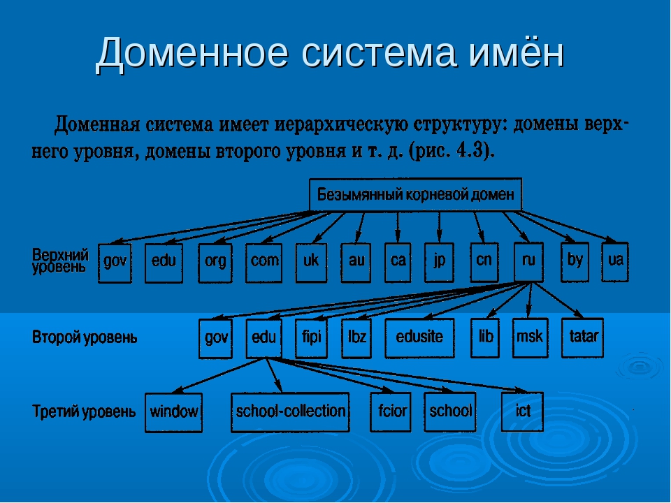 Доменные имена презентация