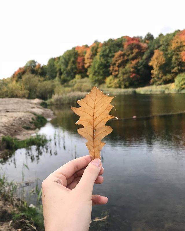 Красиво Подписать Фото Осенью