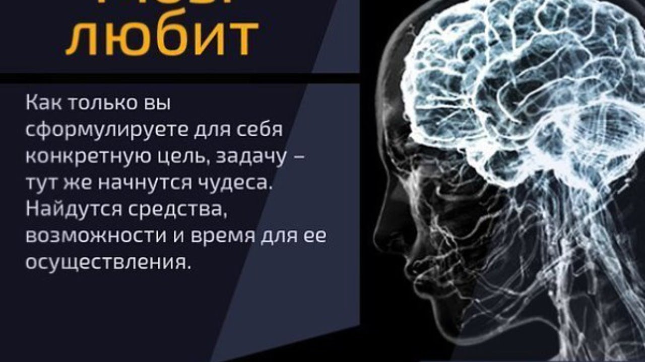 Мозг изучен на процентов. Цитаты про мозг. Что любит мозг. Интересные факты о мозге. Pro мозг. Новый образ жизни.