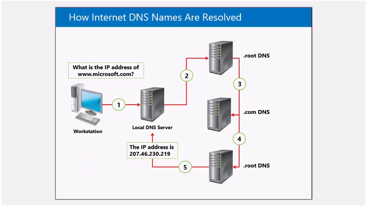 Сайт сети dns. DNS сервер в локальной сети. Домен ДНС сервер структура. Дерево DNS серверов. Зоны DNS сервера.