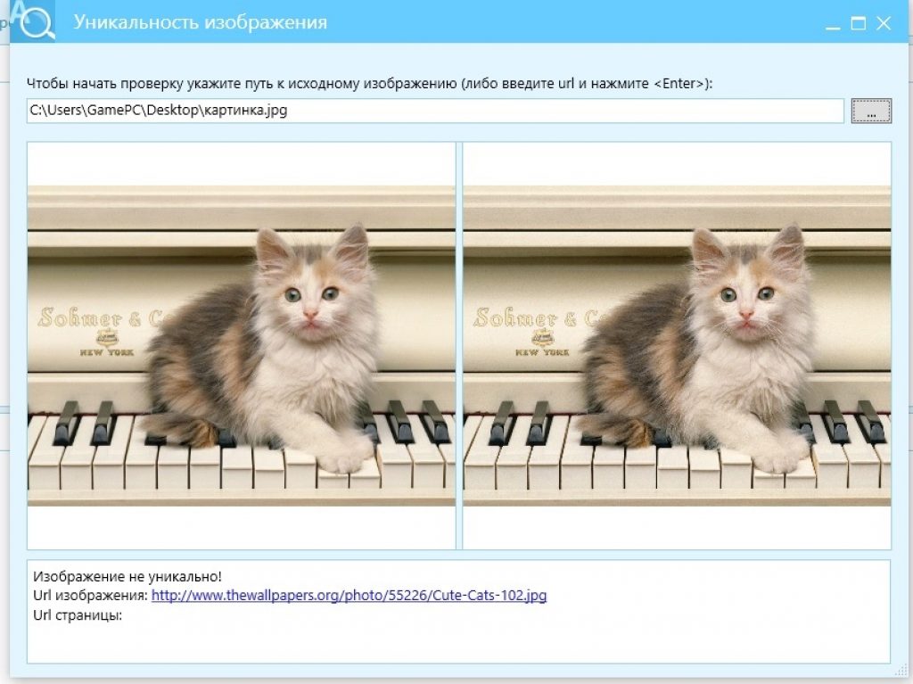 Проверить на уникальность картинку онлайн бесплатно