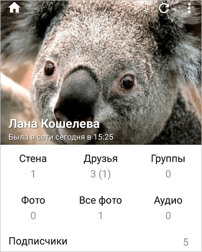 Стандартная тема в Kate Mobile