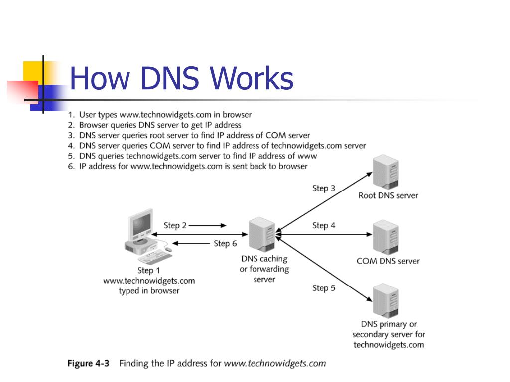 Что такое частный днс сервер. DNS протокол схема. Принцип работы DNS сервера. DNS сервер схема. Что такое DNS сервер простыми словами.