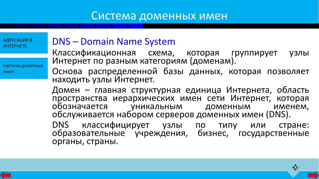 Любой домен. Доменное имя это. Домен это в информатике. Имя домена. Доменное имя сайта.