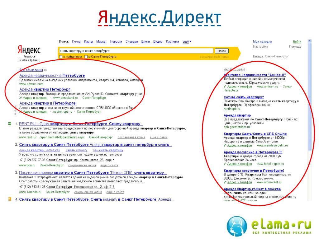 ELAMA Яндекс директ. Яндекс на аренде в Питере. Аренда Питер интерактивная база. Яндекс недвижимость в Санкт-Петербурге сдать.