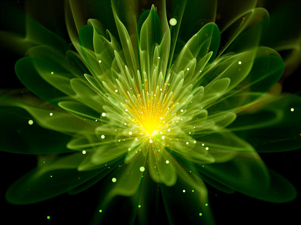 Учёные пытаются создать светящиеся растения