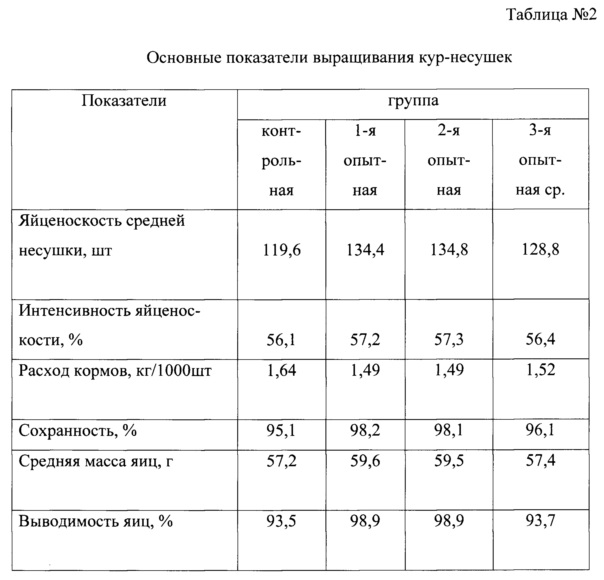 План куры. Показатели выращивания несушек. Бизнес план для кур несушек. Бизнес проект по выращиванию кур несушек. Расход комбикорма для кур несушек.