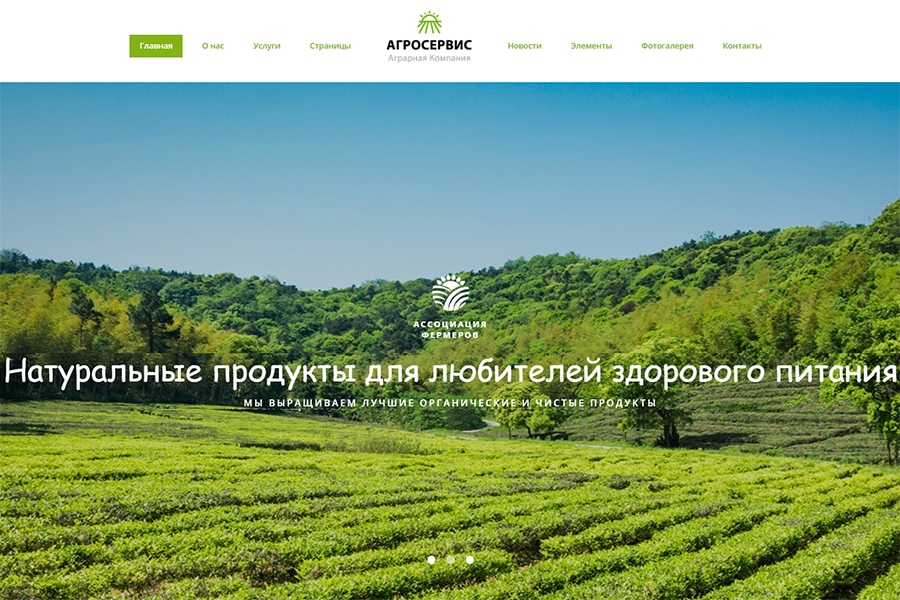Агросервис - готовий многостраничный HTML Ru шаблон сайта органической еды