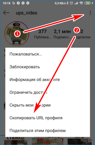 Скопируйте URL Instagram