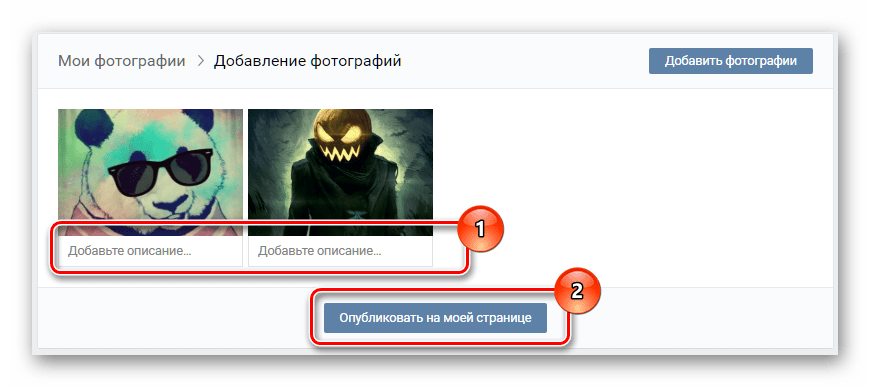 Процесс добавления изображений в разделе Фотографии на сайте ВКонтакте