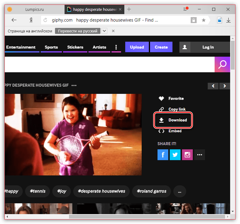 Скачивание GIF с сайта Giphy.com