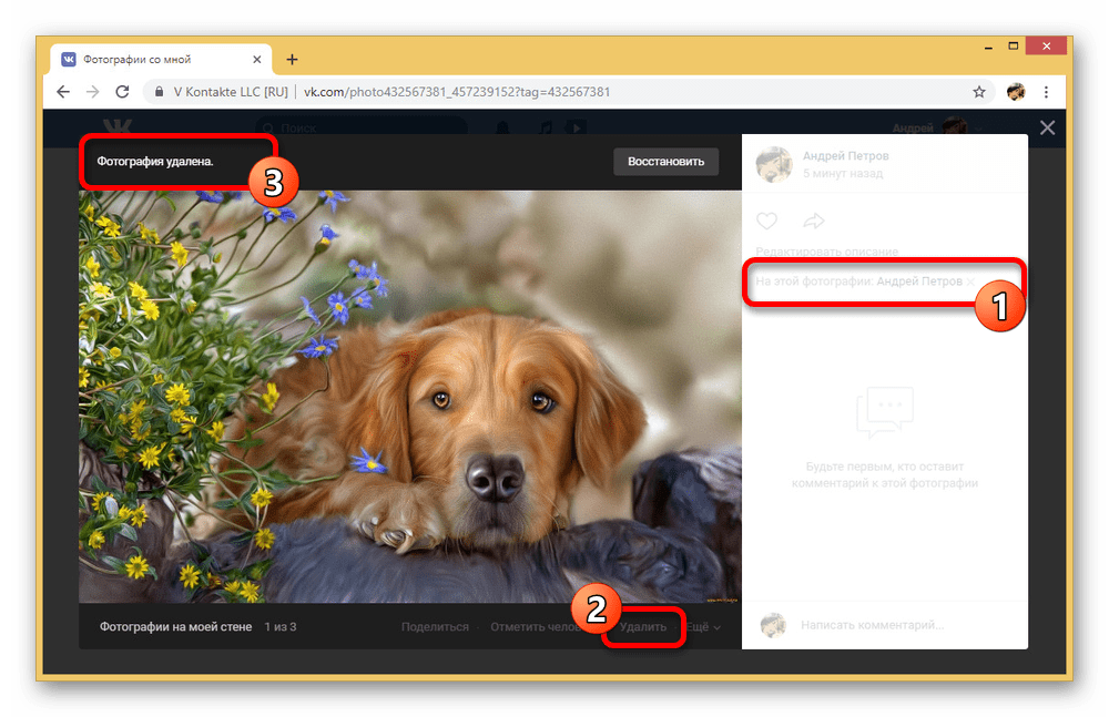 Пример удаления фотографии с отметкой на сайте ВКонтакте