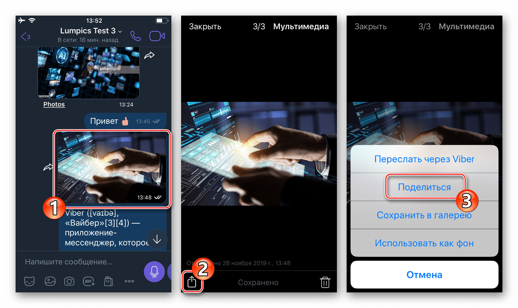Viber для iPhone кнопка Поделиться на экране полноэкранного просмотра фото или видео