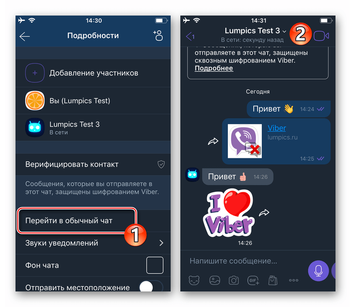 Viber для iPhone пункт Перейти в обычный чат в настройках секретной переписки