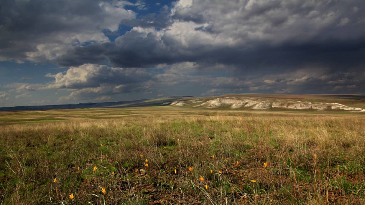 Казахстанская степь фото