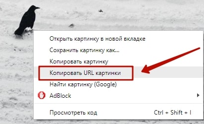 Как перенести фото из скайпа в Одноклассники 10-min