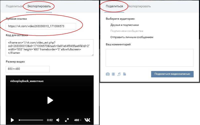 Как поделиться видео в ВК. Как поделиться профилем в ве. Какподелится профилем в ВК. Как поделиться профилем в ВК. Вк экспортировать