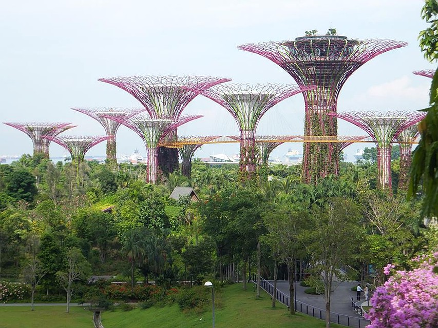Побывать в Сингапуре - все равно что слетать в будущее! Фото: Юлия СМИРНОВА