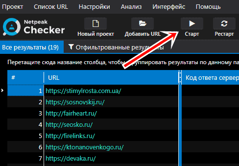 как работать с netpeak checker