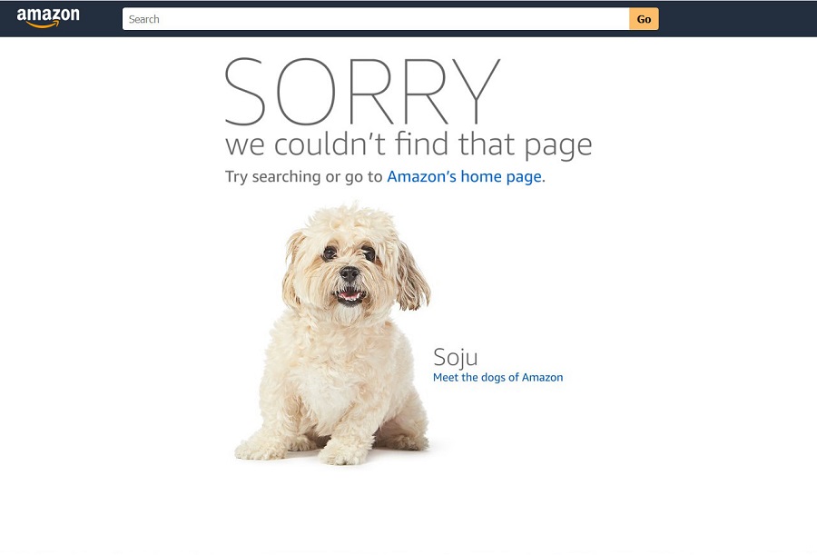 Страница 404 Amazon