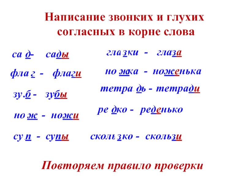 Правописание согласных в корне слова