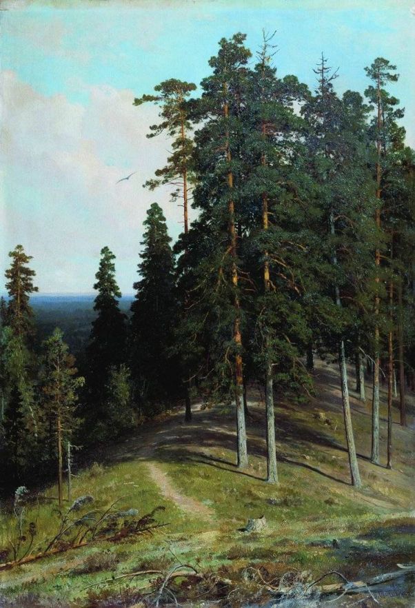 Лес с горы. 1895ю Шишкин